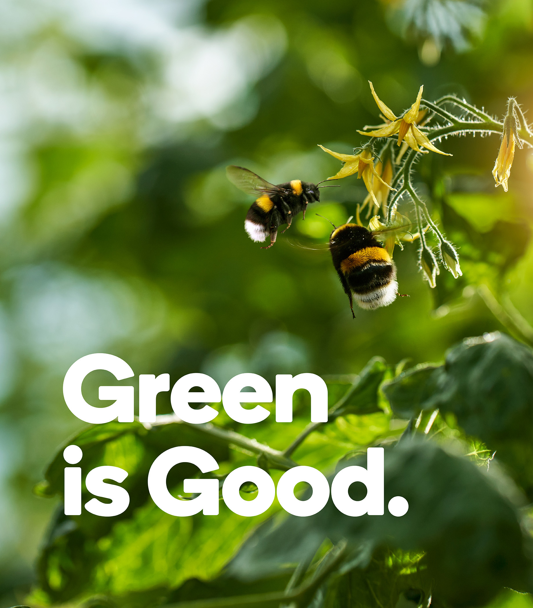 01 Green is Good hero 1840x2100