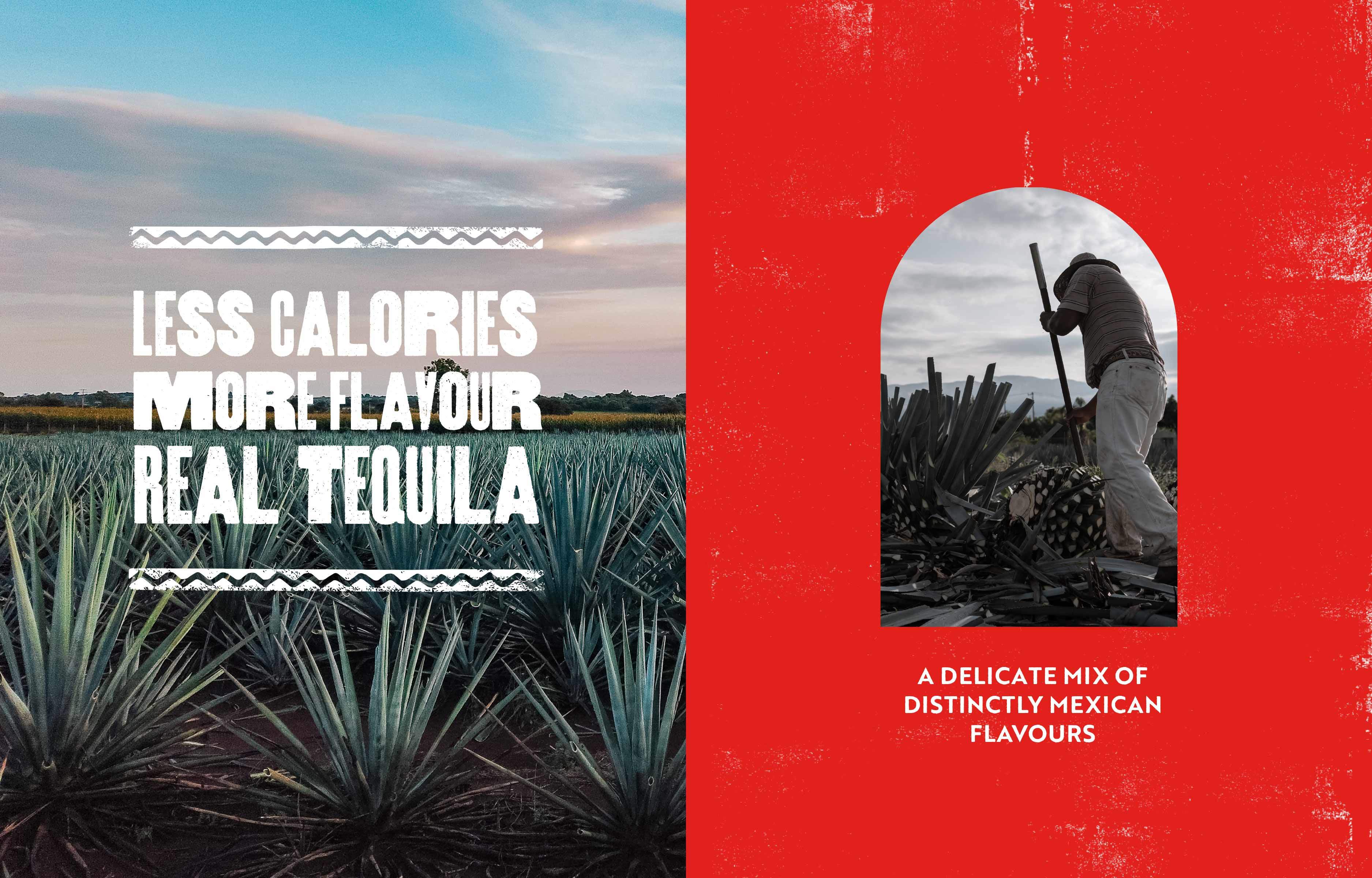 Domingos Case Study Real Tequilla