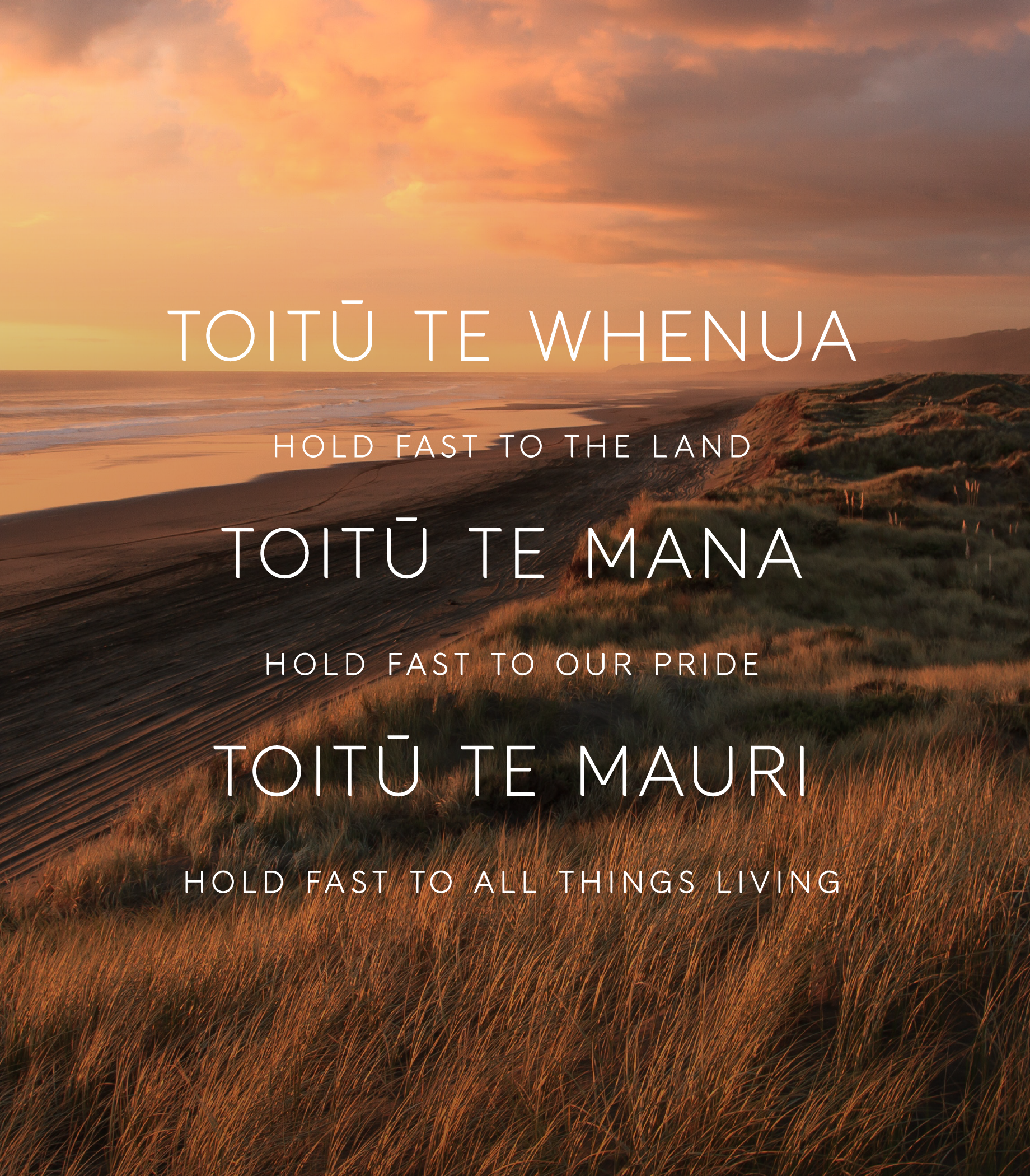 Hula CS Toitū Work List